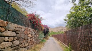 2023-04-GranCan-Ayagaures-099.jpg
